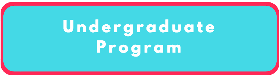 undergraduate-program