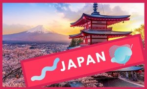 Study Tour Web Template - 1